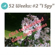 52 Weeks: #2 I Spy